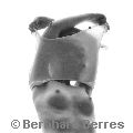 Copyright by Bernhard Berres