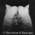 Copyright by Bernhard Berres