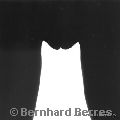 Copyright by Bernhard Berres