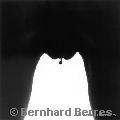 Copyright by Bernhard Berres